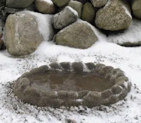 All-Seasons Heated Bird Bath