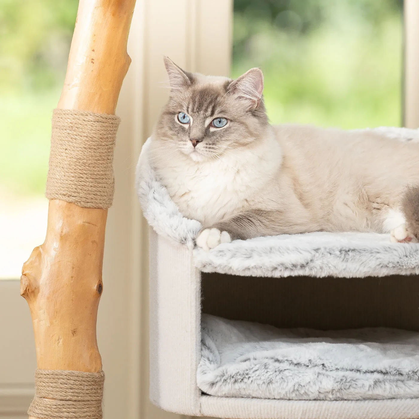 Back to Nature The Luxe Cat Scratch Post