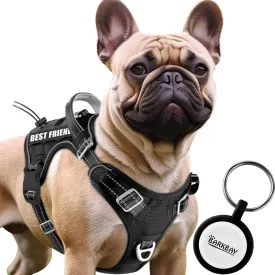 BARKBAY Service Dog Vest Tactical Dog Harness Medium Large Sized Dog Tags Personalized No Pull Adjustable Harness Reflective K9 Working Training Easy Control Military Molle System(Black,M)