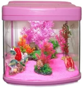 DM AQUARIUMS