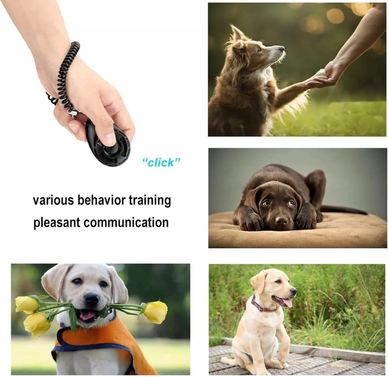 Dog Training Clicker with Wrist Band (Pink)