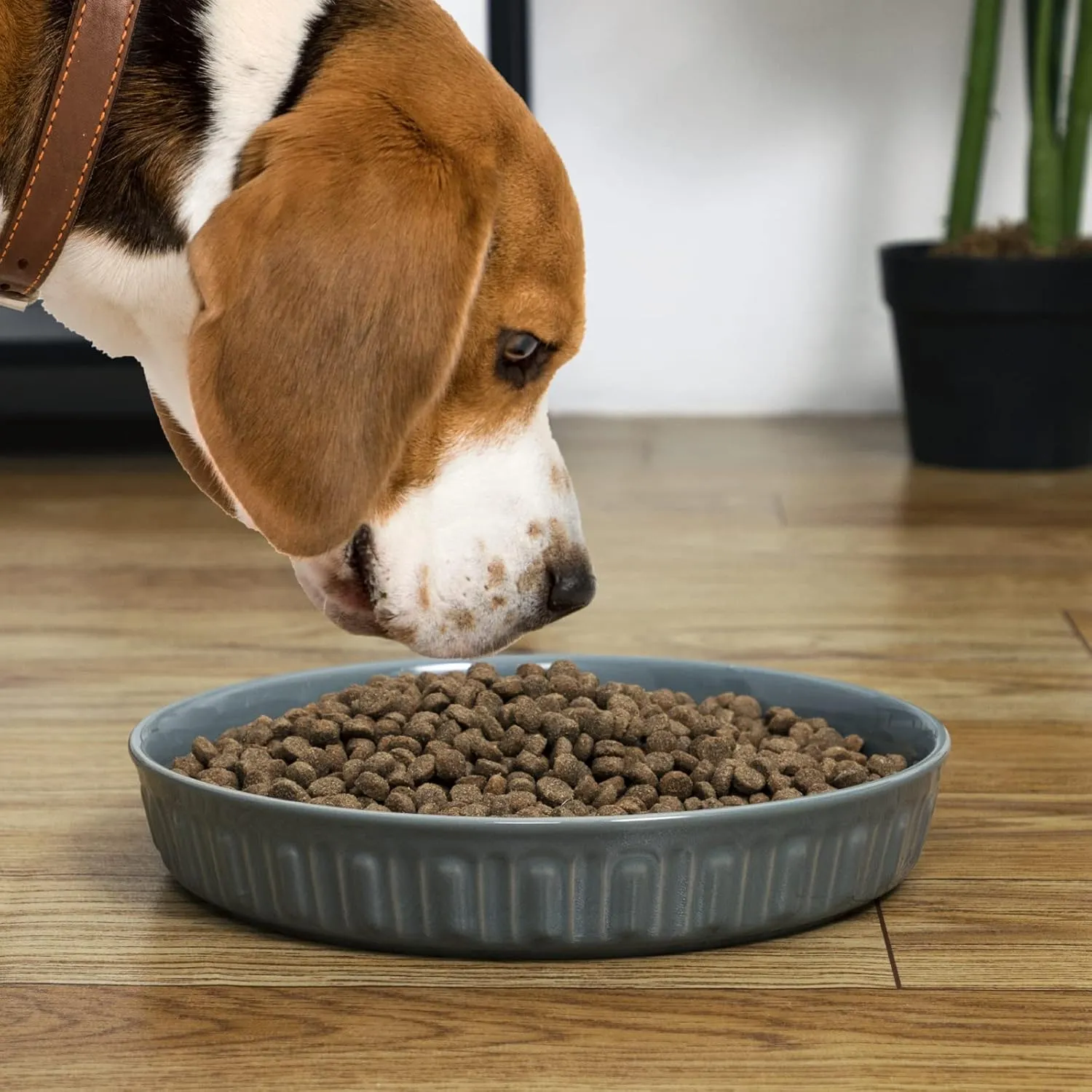 Fun Elements Shallow Dog Bowls, 10.5" Ceramic Large Food Plate for Small, Medium and Large Breeds, Non-Slip, Flat and Wide, Dishwasher Safe, Suitable for Dogs and Cats (Grey)