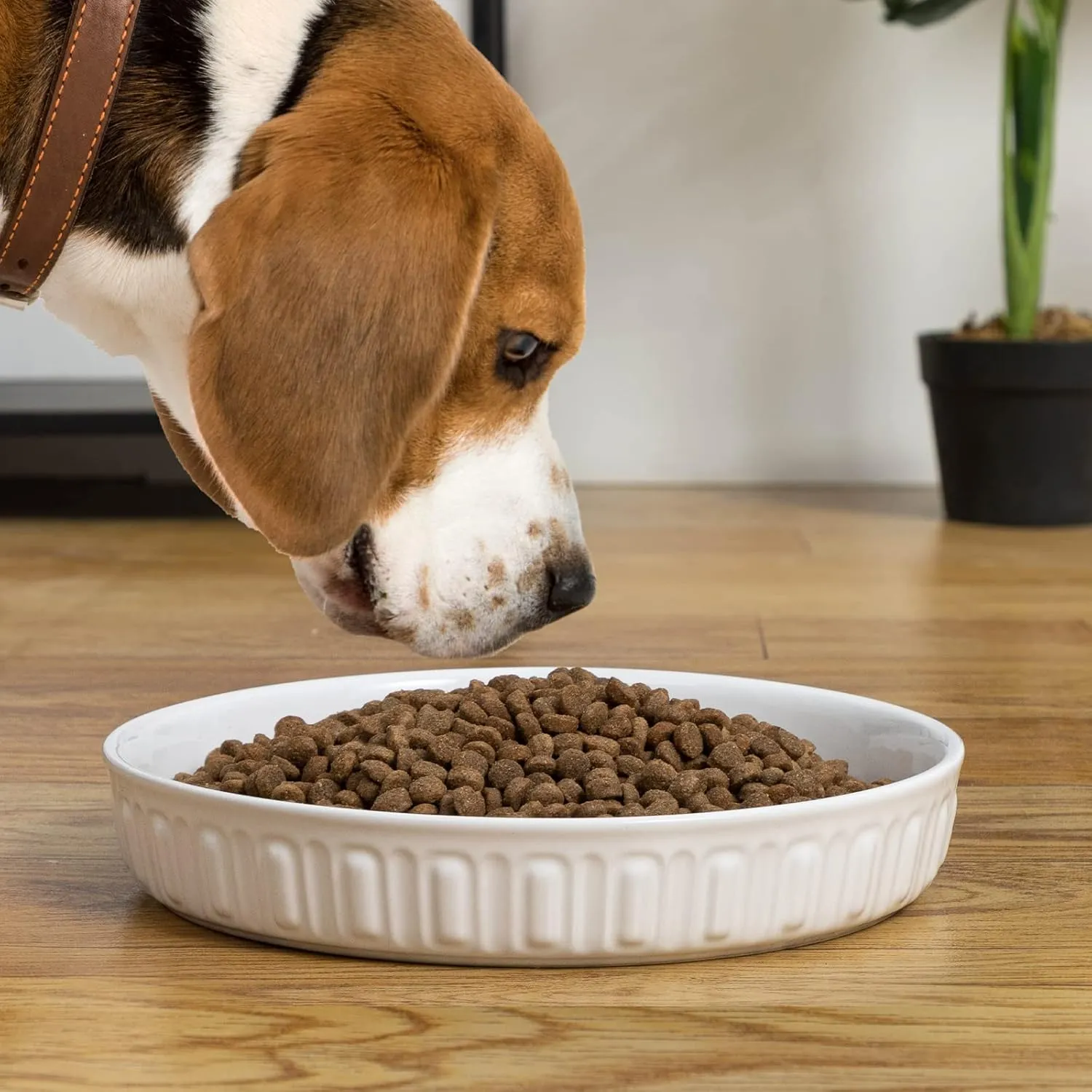 Fun Elements Shallow Dog Bowls, 10.5" Ceramic Large Food Plate for Small, Medium and Large Breeds, Non-Slip, Flat and Wide, Dishwasher Safe, Suitable for Dogs and Cats (White)