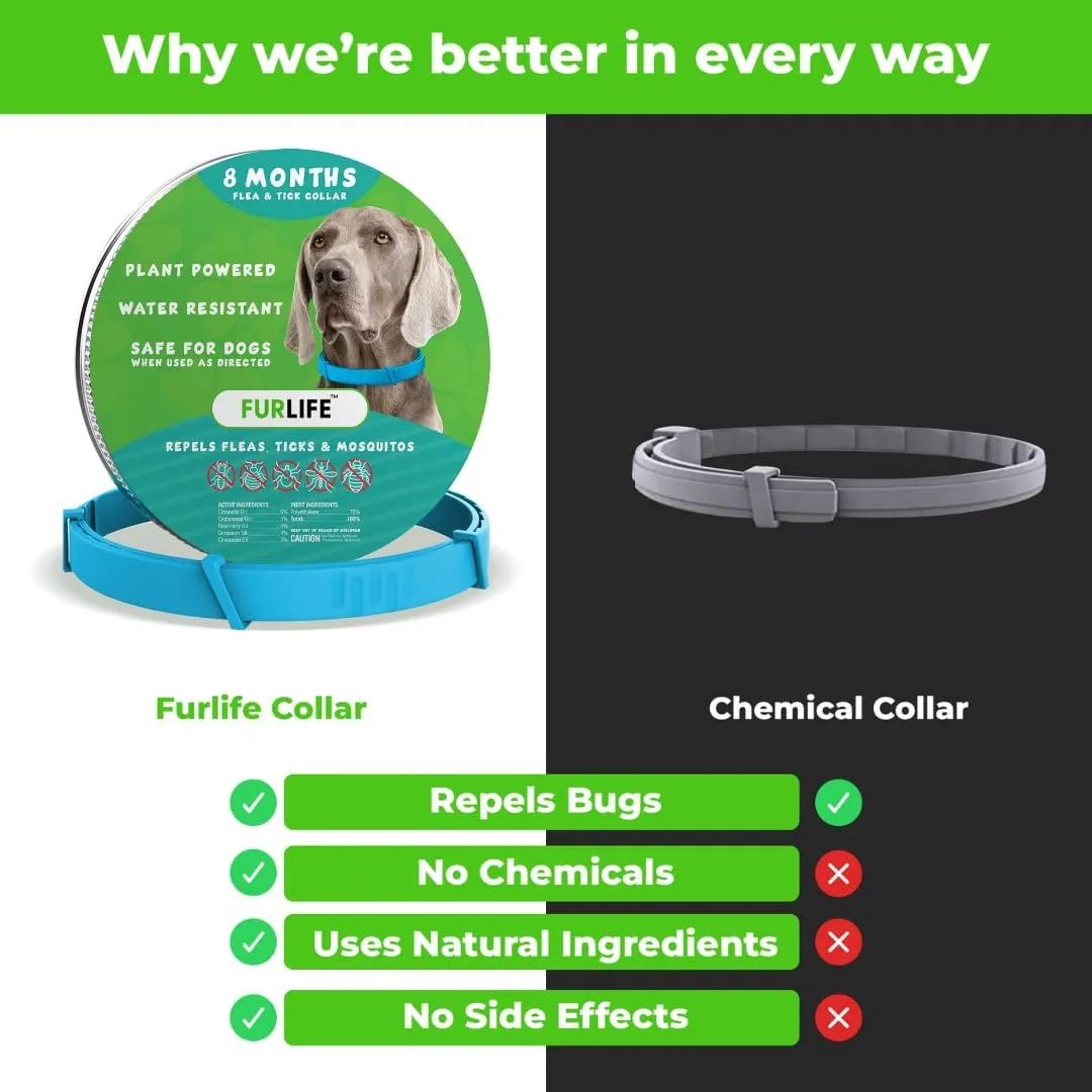 FurLife Flea and Tick Collar for Dogs  Waterproof Blue Dog Collar, Pet Supplies for Tick and Flea Prevention for Dogs, Safe for All Breeds