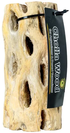 Galapagos Cactus Skeleton Cholla Wood - Brown - 12 in