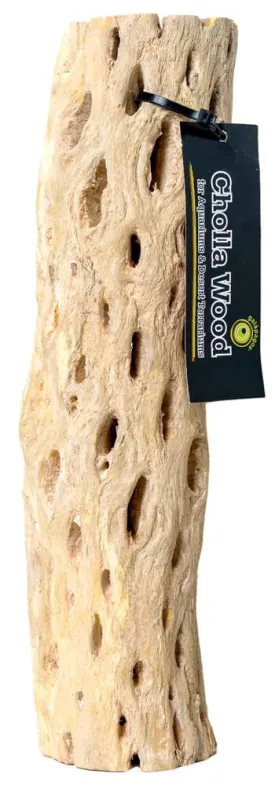 Galapagos Cactus Skeleton Cholla Wood - Brown - 24 in