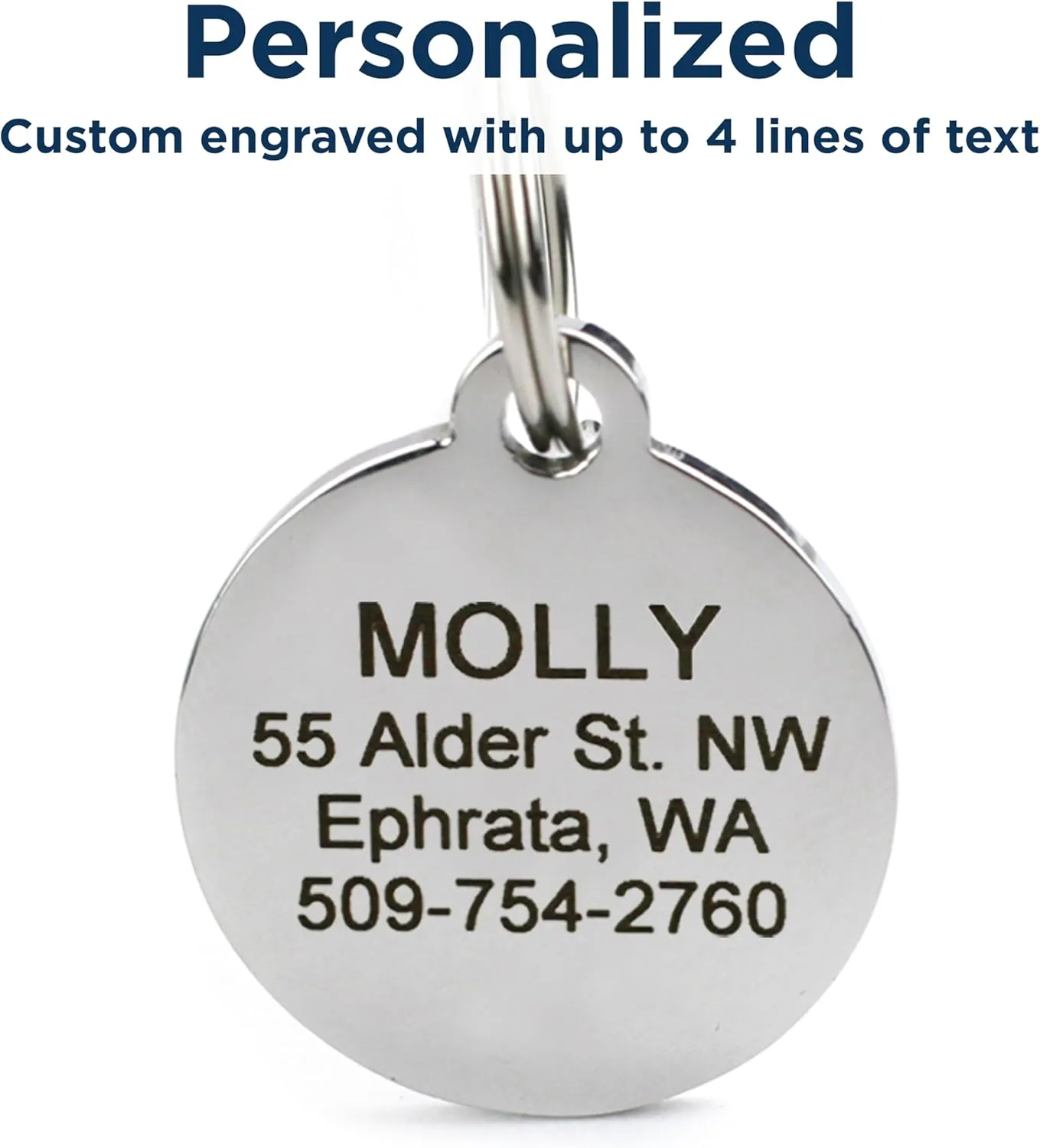 GoTags Playful, Custom Engraved Pet ID Tags, Solid Stainless Steel, Personalized Dog and Cat Pet ID with up to 4 Lines of Text, Cute, Durable and Long-Lasting
