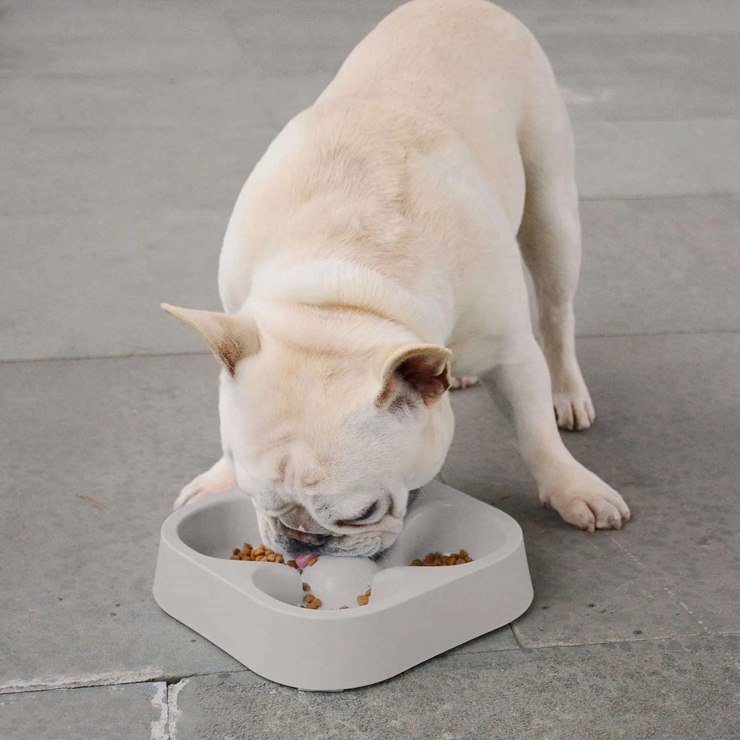 Healthy Slow Feeding Dog Bowl for French Bulldog -Slow Feeder Dog Bowl No Chocking Dog Cat Food Water Bowl with Four-Leaf Clover Pattern (Grey)