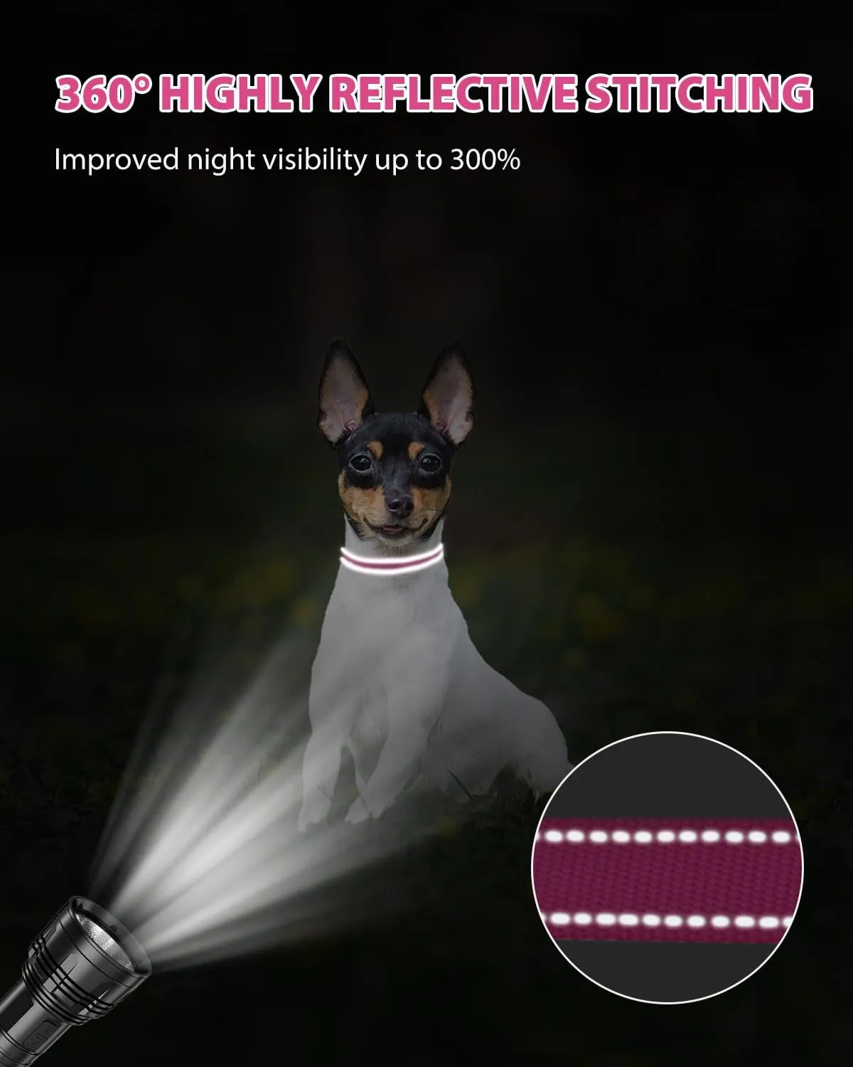 Joytale Small Dog Collar, Reflective and Adjustable Nylon Collar with Quick-Release Buckle, Lightweight No-Choke Design for Puppy and Extra Small Dogs, Hotpink, XS