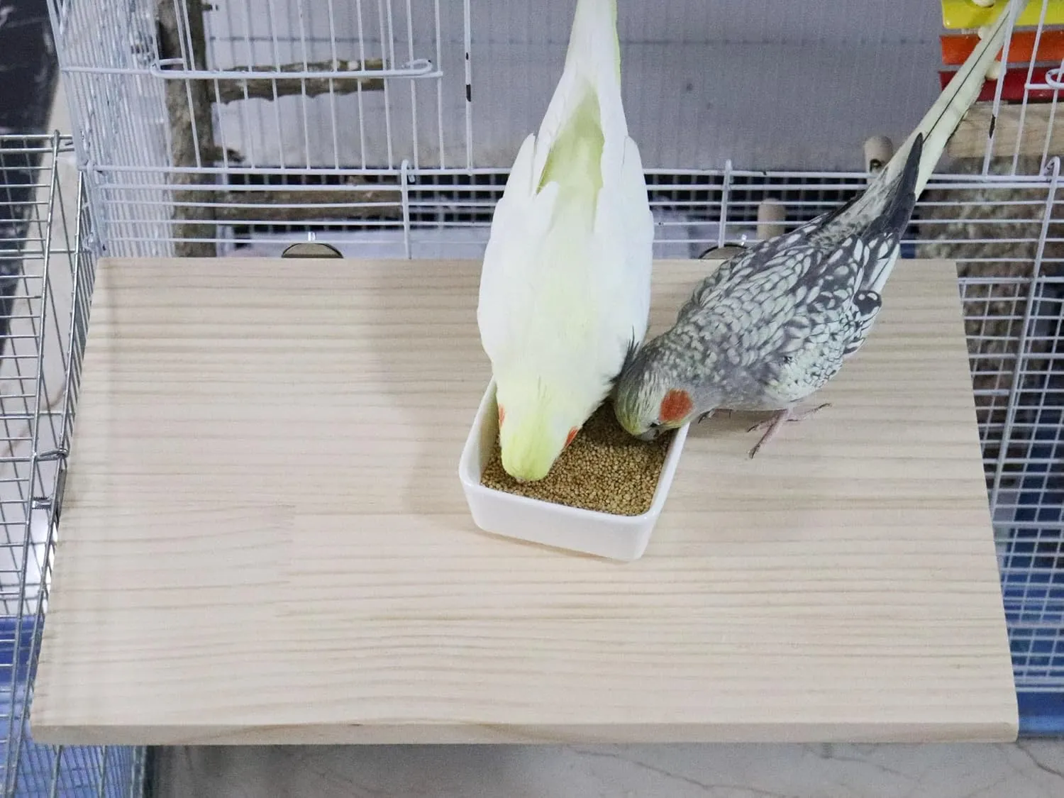 Large Bird Perch, Wooden Platform, Bird Playground, Parakeet Shelf Stand Platform, Bird Perches for Cage, Cage Accessories for Parrots, Rats, Chinchillas, Hamsters, Squirrels, Sugar Gliders