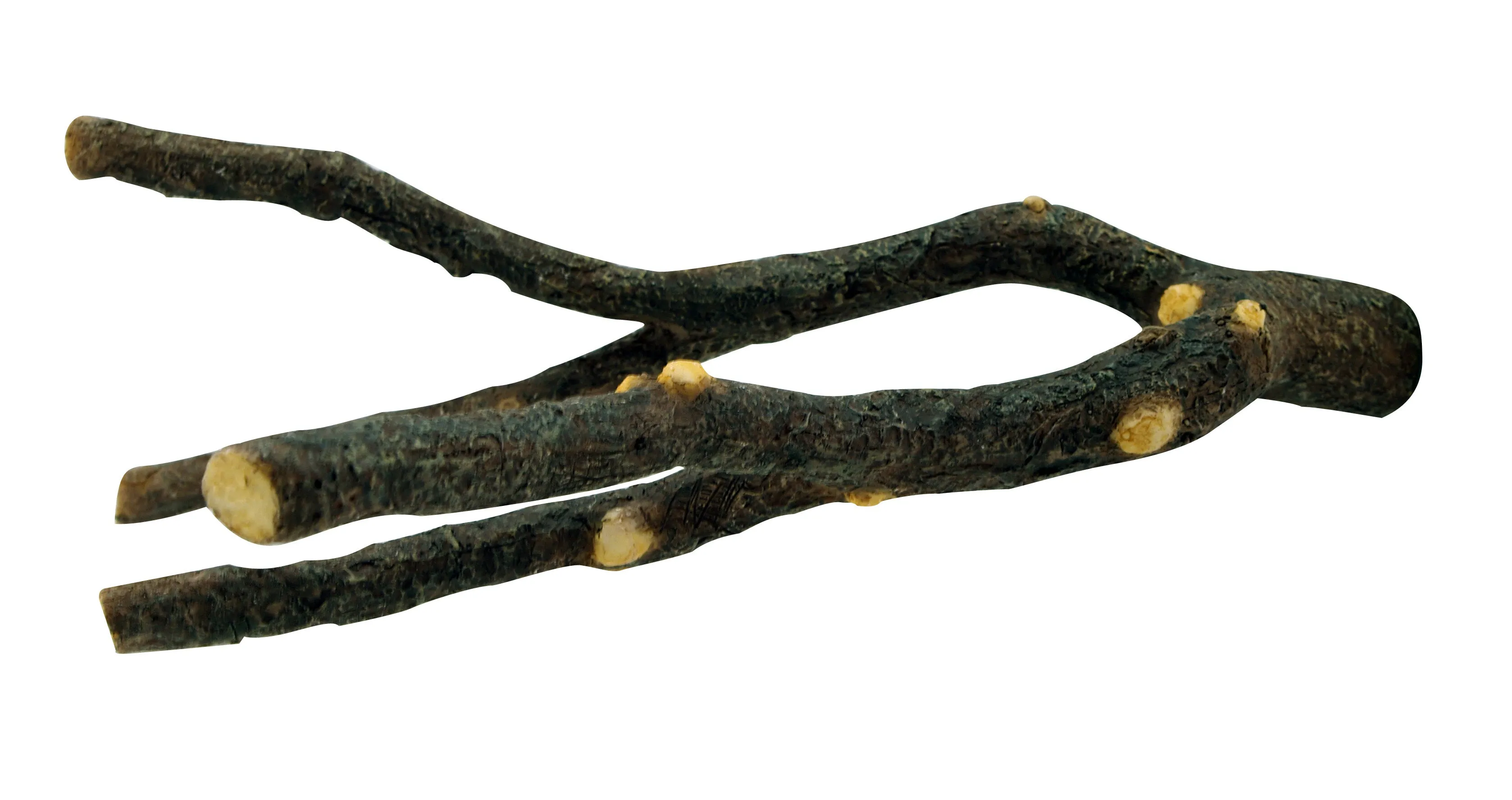 Living World - Natures Perch (23cm)