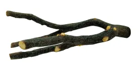 Living World - Natures Perch (23cm)