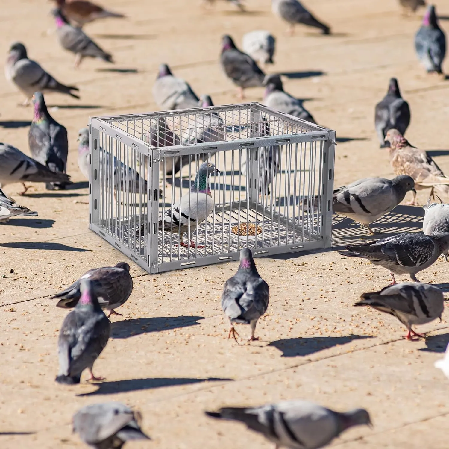 Pigeon Trap with Escape-Proof Design,Birds Trap with One-Way Entry,Chicken and Bird Trap Cage for Pigeon,Portable & Easy Assembly,Unharmful Made of High-Strength Iron with Anti-Rust Paint