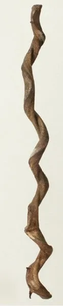 Prevue Pet Wacky Wood Root Perch Natural Wood 36"