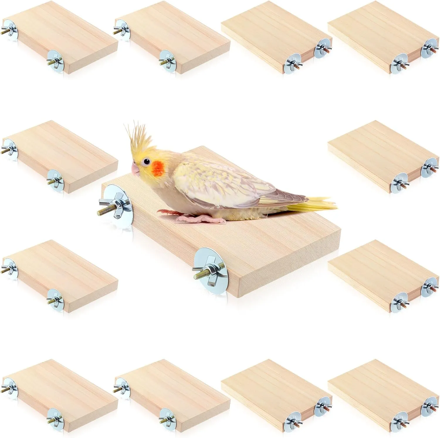 Reginary 12 Pcs Wood Bird Platform Rectangle Wood Perch Stand Board Habitat Cage Corner Shelf with Washers Bird Paw Grinding Clean Accessories for Pet Budgie Parrot Cockatiels
