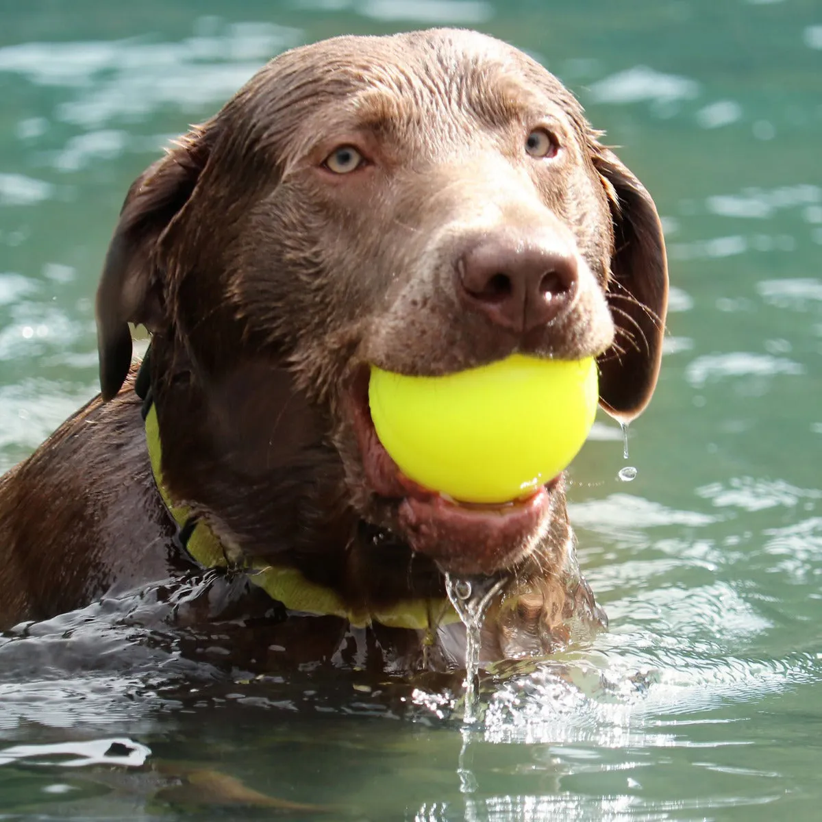 Ruff Dawg Rough Ball