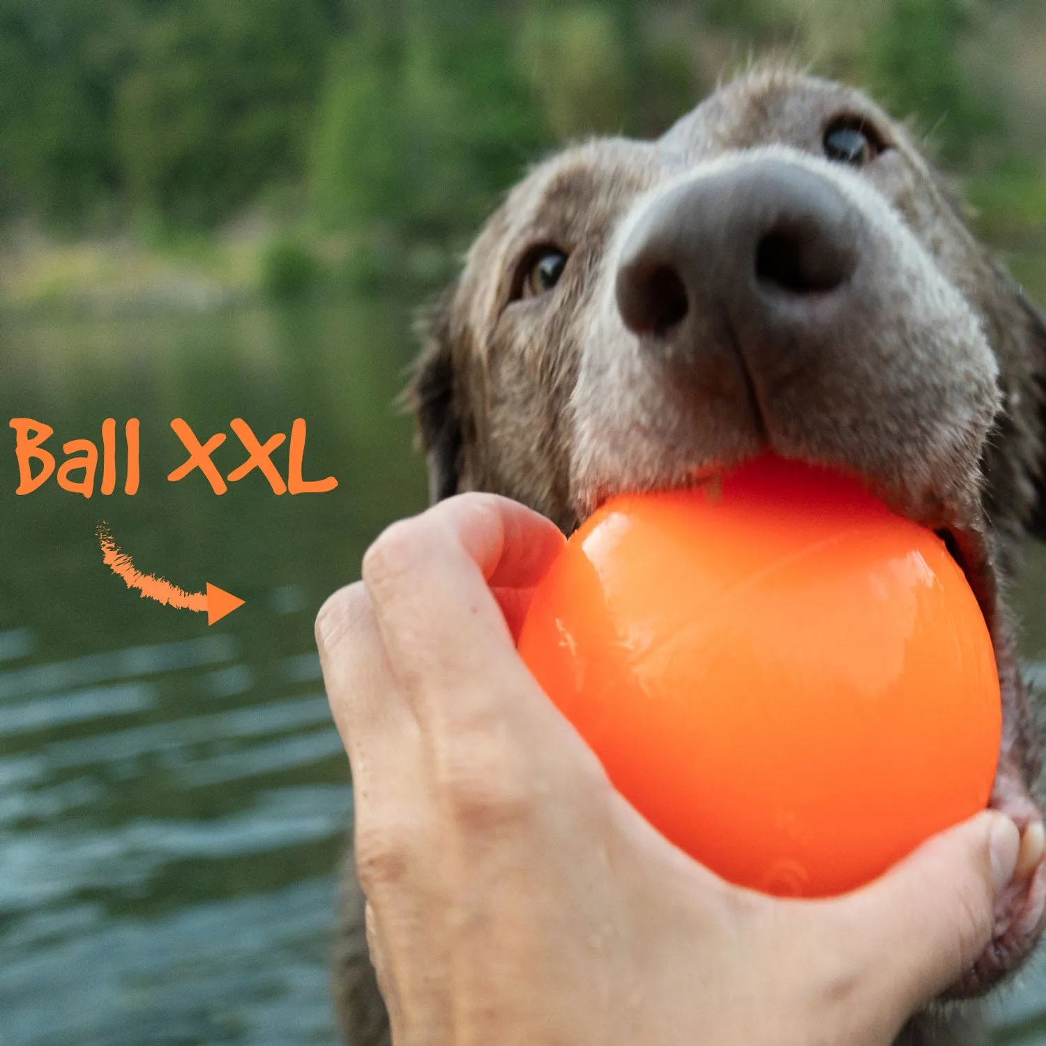 Ruff Dawg Rough Ball