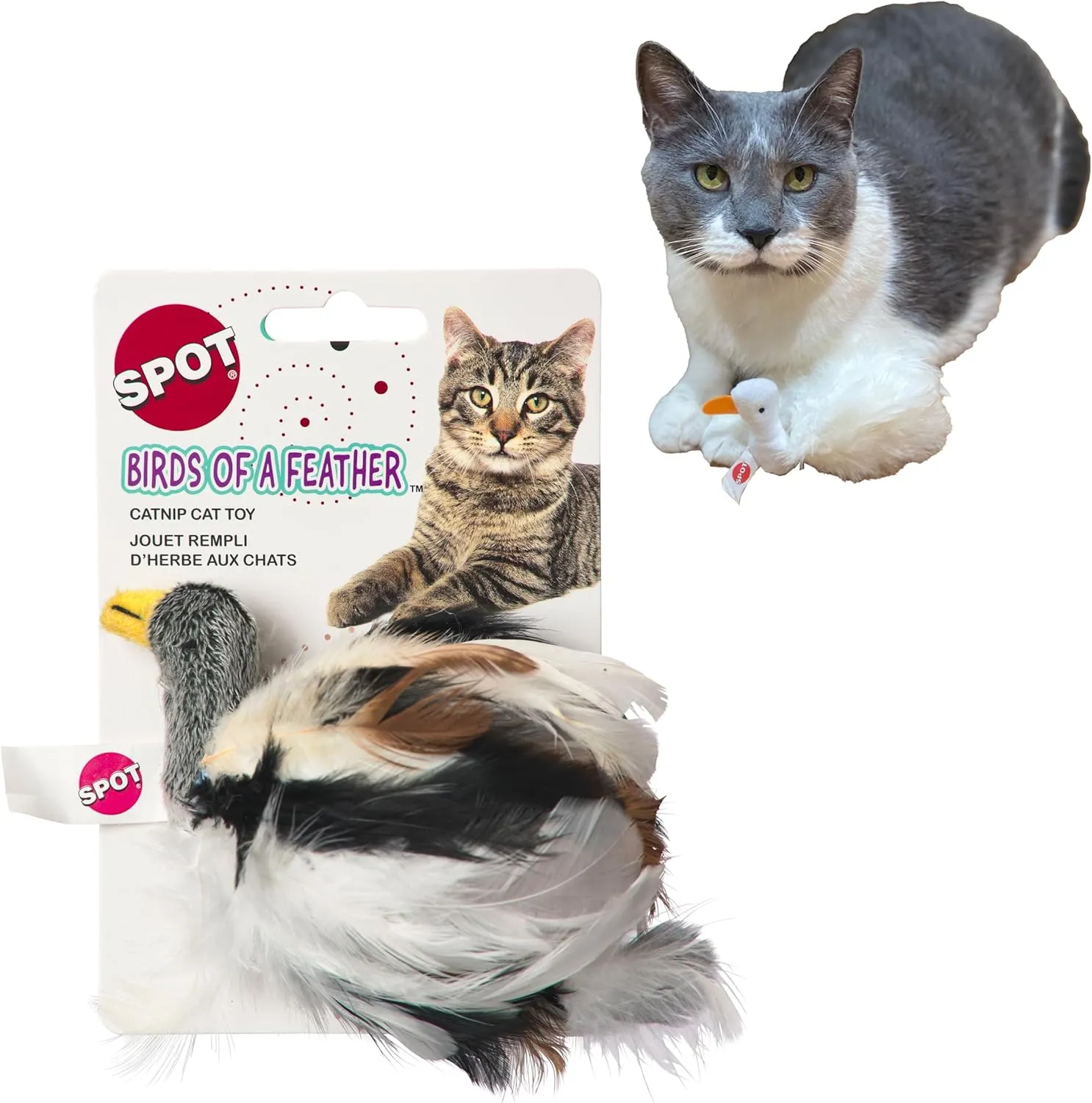 SPOT Birds of a Feather Catnip Toy for Cats  Interactive Plush Toy for Swatting, Pouncing, and Chasing  6in, Assorted Styles