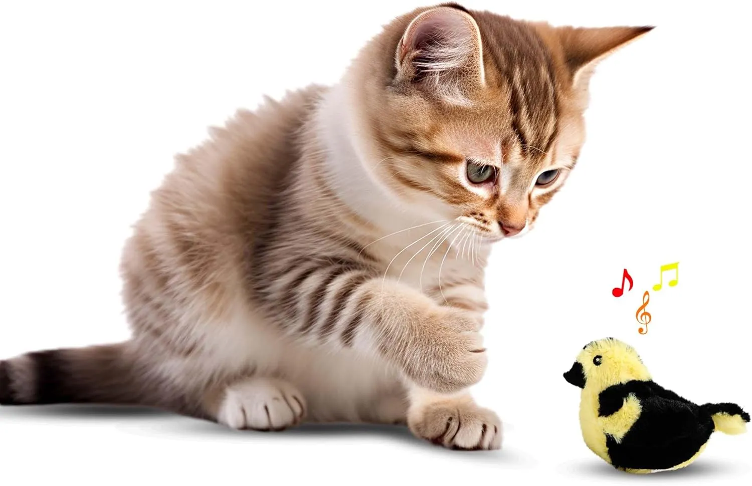 SPOT Song Birds Cat Toy- Touch Activated Singing Catnip Toy Mimics Real Bird Songs, Battery Operated Toy Satisfies Cat's Natural Urge to Hunt - One 5" Song Bird, Assorted Colors