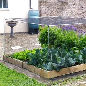 Vegetable Cages