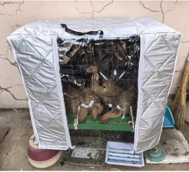 ZIMGOD Warmth Insulated Cover for Chicken Coop Dog House, Customizable Dog Crate Kennel Cover, Cat Dogs Birds Cage Thermal Covers, Pet Fence Privacy Cover(125x95x110cm (49.2x37.4x43.3in))